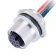 M12连接器 8pin 母头后锁带线型A扣板端插座带线50CM AWG24带屏蔽